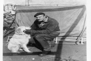 Bilde av Byrd-ekspedisjonens hunder
